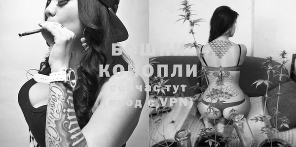 марки lsd Инта