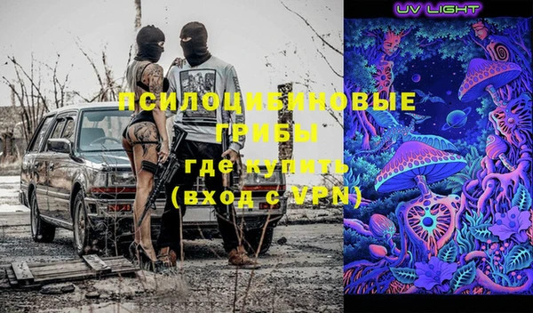 марки lsd Инта