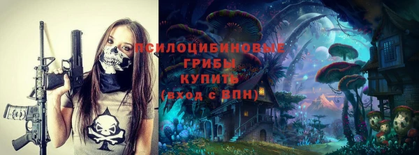 марки lsd Инта