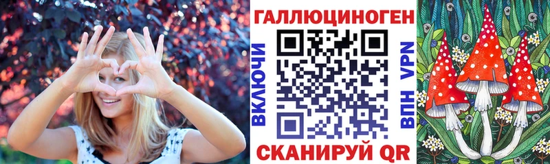 Купить где Приволжский Псилоцибиновые грибы GOLDEN TEACHER