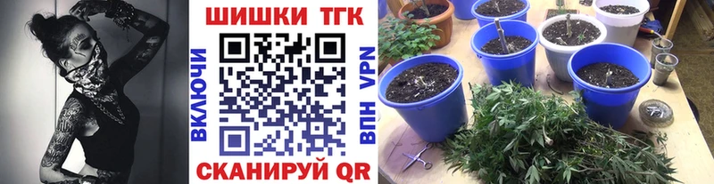 Купить  Приволжский  Канабис планчик 